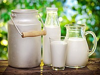 Milchmarktbericht