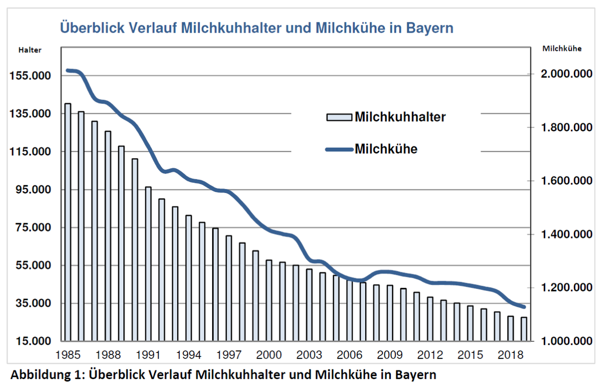 stetiger-rueckgang-der-milchkuhhalter-in-bayern-der-strukturwandel-schreitet-voran