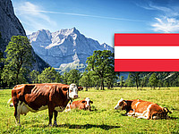 Milchpreise Österreich ebenfalls im Aufwind