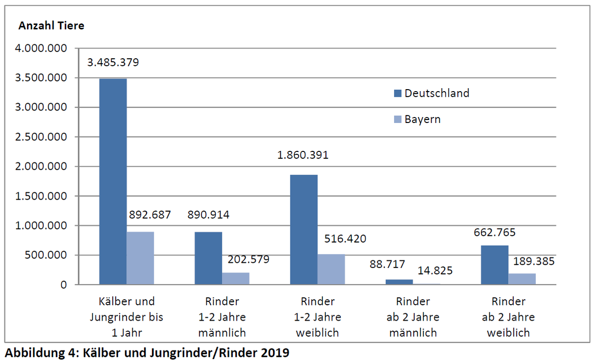 stetiger-rueckgang-der-milchkuhhalter-in-bayern-der-strukturwandel-schreitet-voran