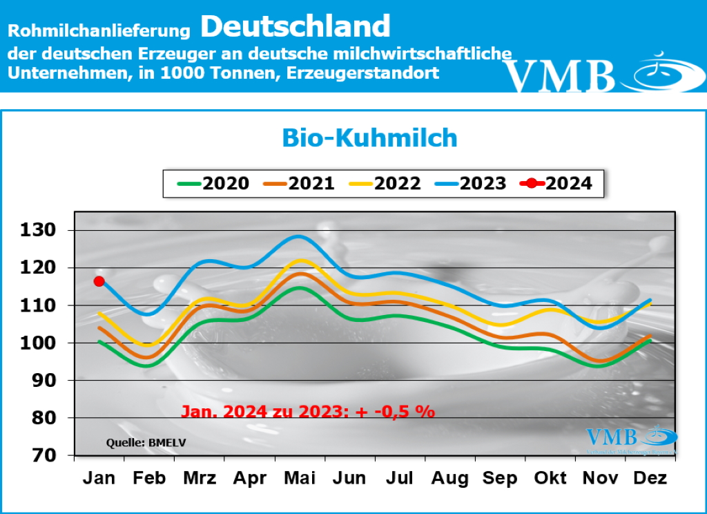 Milchanlieferungen Deutschland Januar 2024