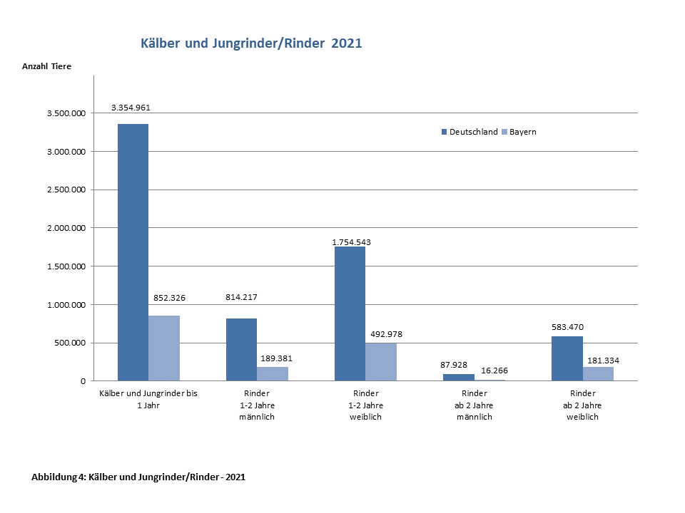 Rinderbestand Bayern 2021