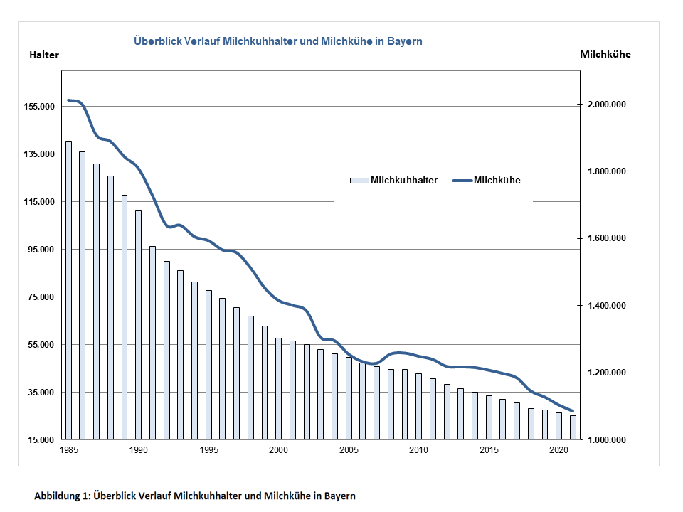 Rinderbestand Bayern 2021