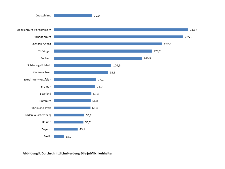 Rinderbestand Bayern 2021