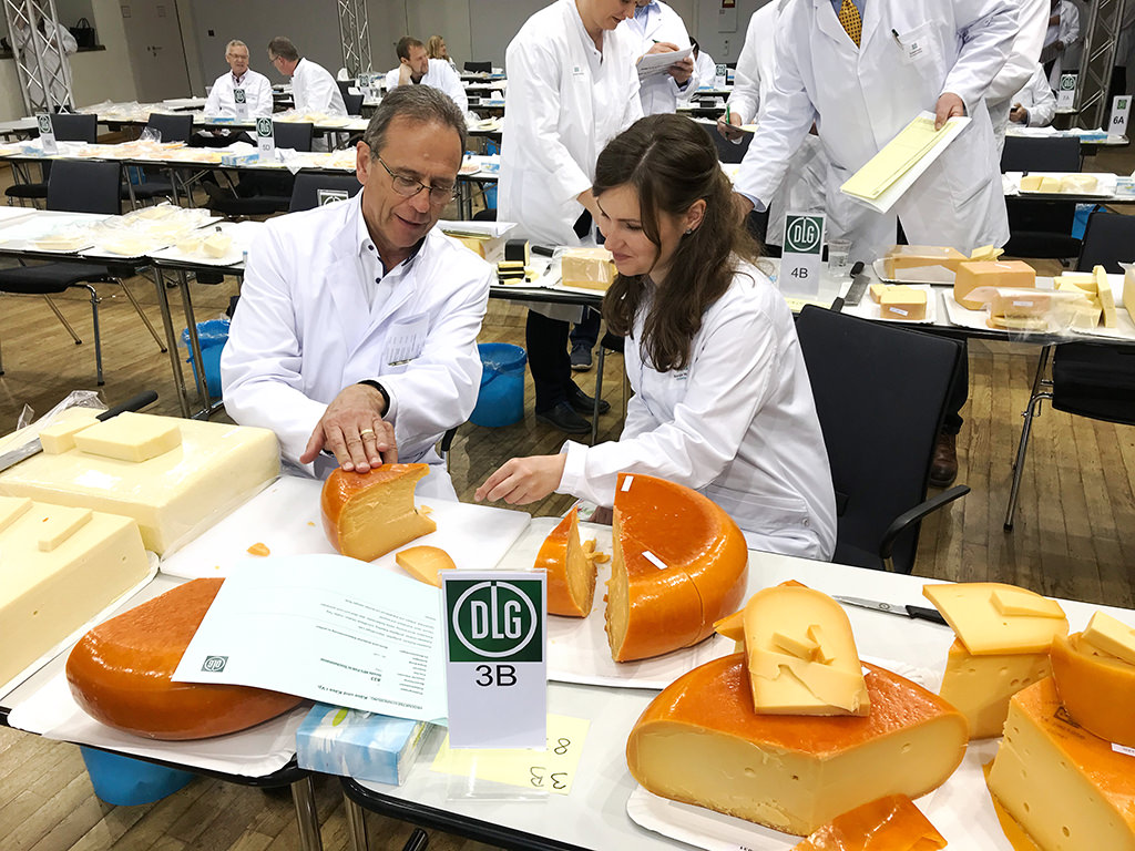 DLG-Qualitätsprüfung in Bamberg: Sensorischer Test für die Warengruppe Käse