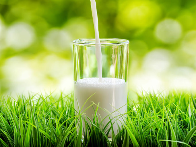 Bio-Milch im ÖKO-TEST: Gewichtiges Tierwohl