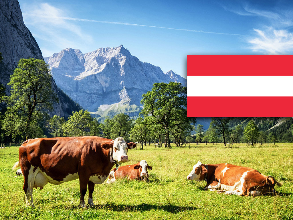 Milchpreise Österreich ebenfalls im Aufwind